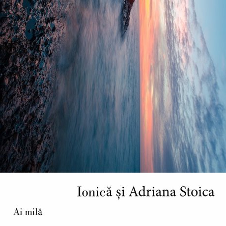 Se încarcă...