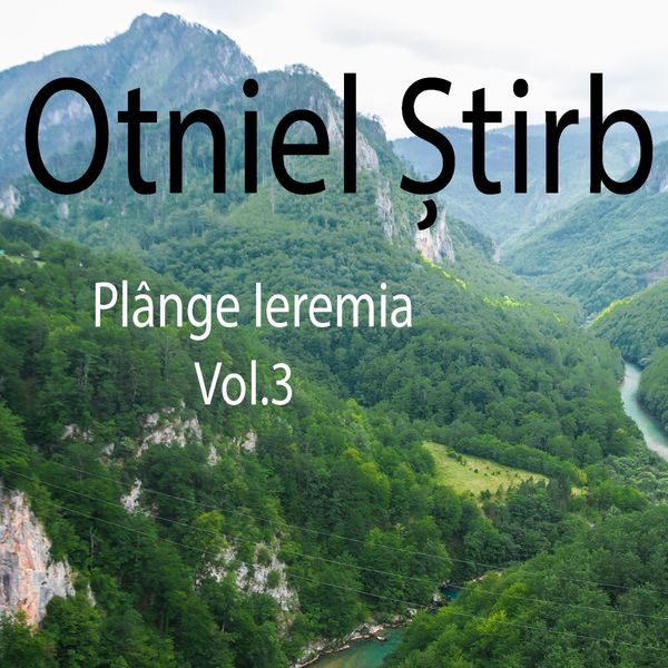 Se încarcă...