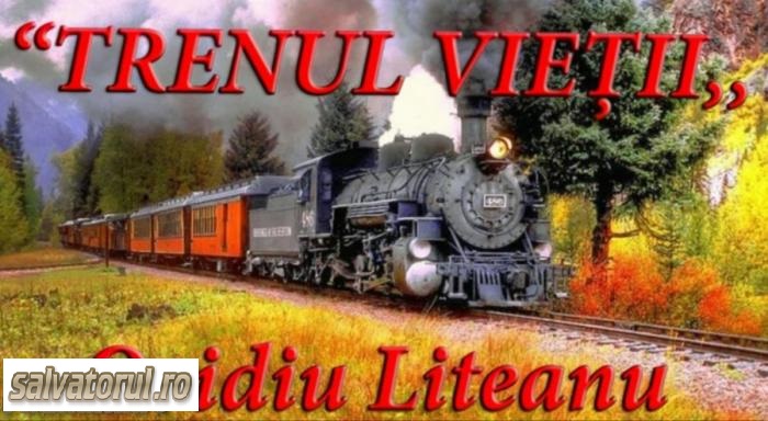 Se încarcă...