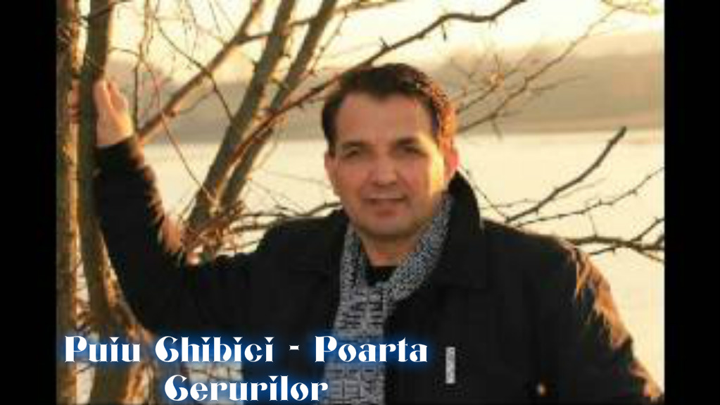 Se încarcă...