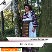 Se încarcă...