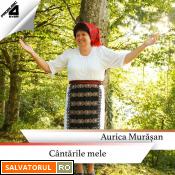 Se încarcă...
