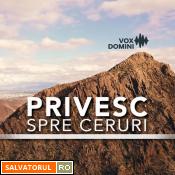 Se încarcă...