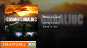 Se încarcă...