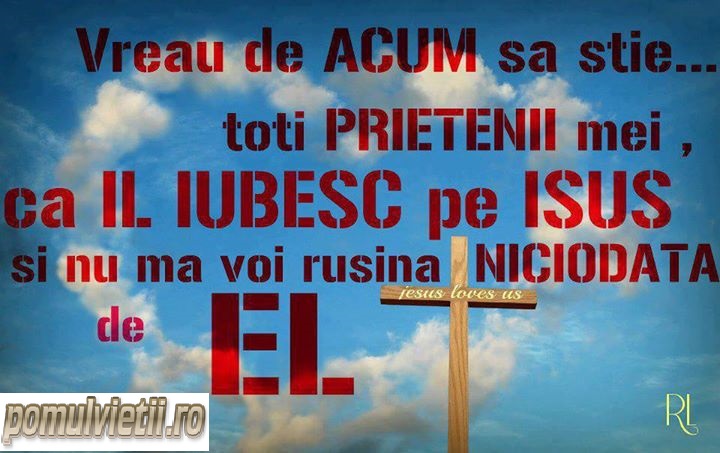 Se încarcă...