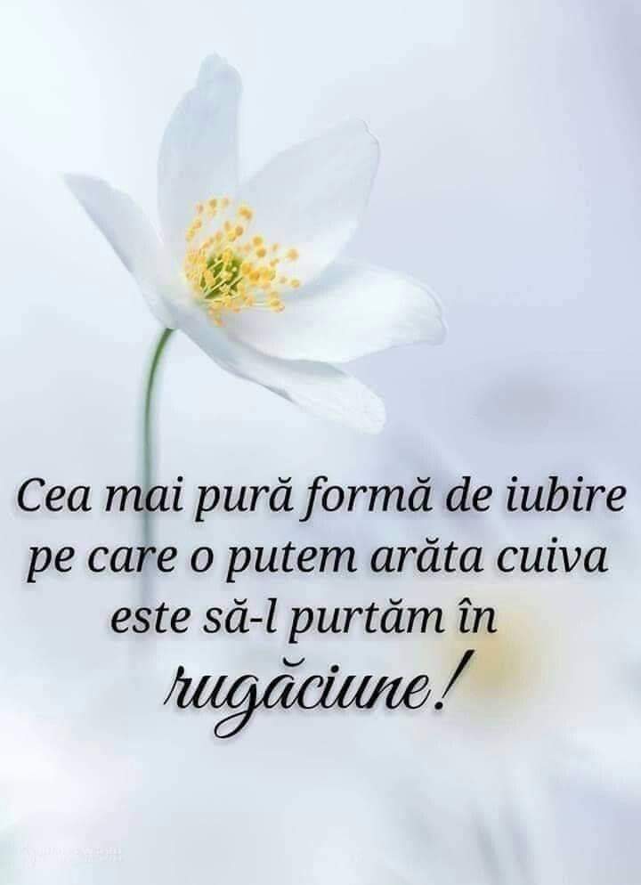 Se încarcă...