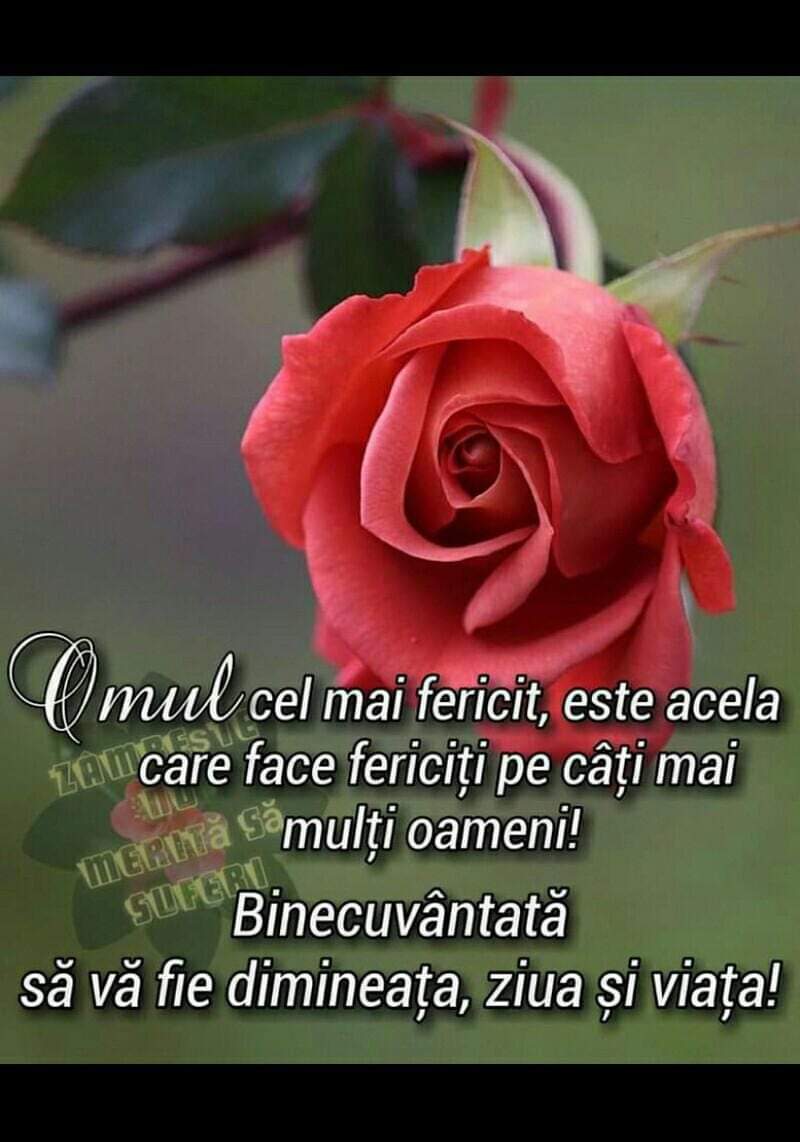 Se încarcă...