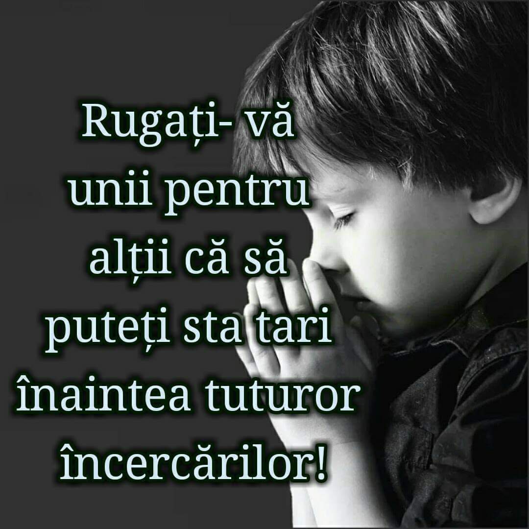 Se încarcă...