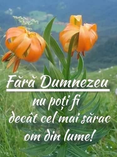 Se încarcă...