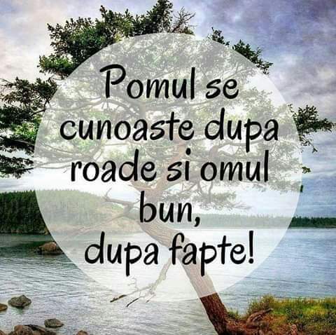 Se încarcă...