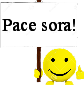 .pacesora.
